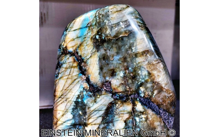 Bild 5