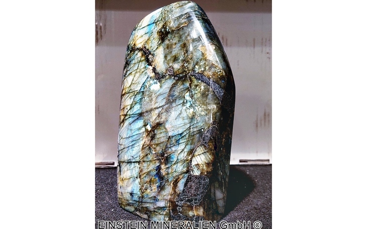 Bild 7