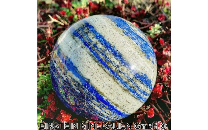 Bild 7