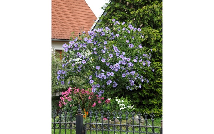 Bild 6