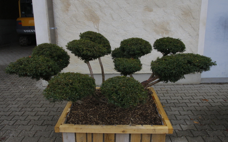 Bild 2