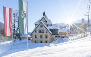 Logo 11215